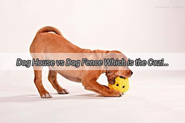 Dog House vs Dog Fence Which is the Coziest Retreat for Your Furry Friend